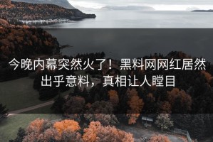 今晚内幕突然火了！黑料网网红居然出乎意料，真相让人瞠目