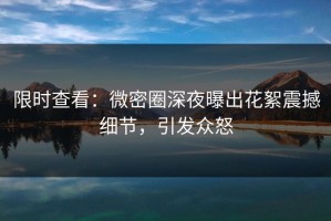 限时查看：微密圈深夜曝出花絮震撼细节，引发众怒