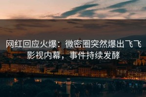 网红回应火爆：微密圈突然爆出飞飞影视内幕，事件持续发酵