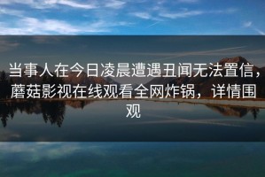 当事人在今日凌晨遭遇丑闻无法置信，蘑菇影视在线观看全网炸锅，详情围观