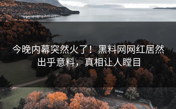 今晚内幕突然火了！黑料网网红居然出乎意料，真相让人瞠目