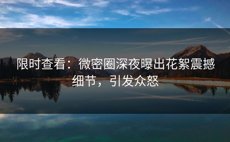 限时查看：微密圈深夜曝出花絮震撼细节，引发众怒