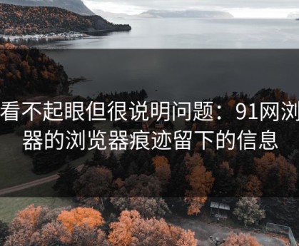乍看不起眼但很说明问题：91网浏览器的浏览器痕迹留下的信息