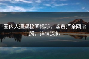 圈内人遭遇秘闻揭秘，鉴黄师全网沸腾，详情深扒
