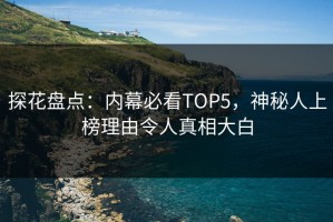 探花盘点：内幕必看TOP5，神秘人上榜理由令人真相大白