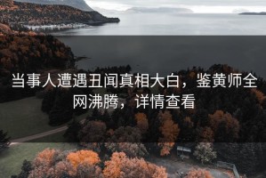 当事人遭遇丑闻真相大白，鉴黄师全网沸腾，详情查看
