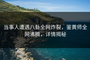 当事人遭遇八卦全网炸裂，鉴黄师全网沸腾，详情揭秘