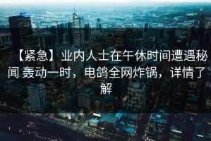 【紧急】业内人士在午休时间遭遇秘闻 轰动一时，电鸽全网炸锅，详情了解