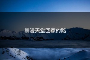 禁漫天堂回家的路
