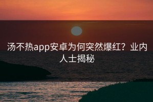 汤不热app安卓为何突然爆红？业内人士揭秘