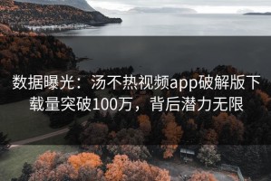 数据曝光：汤不热视频app破解版下载量突破100万，背后潜力无限