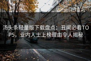 汤头条轻量版下载盘点：丑闻必看TOP5，业内人士上榜理由令人揭秘