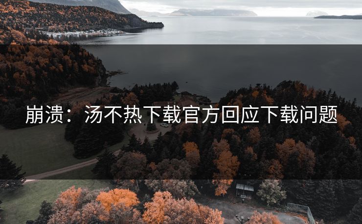 崩溃：汤不热下载官方回应下载问题