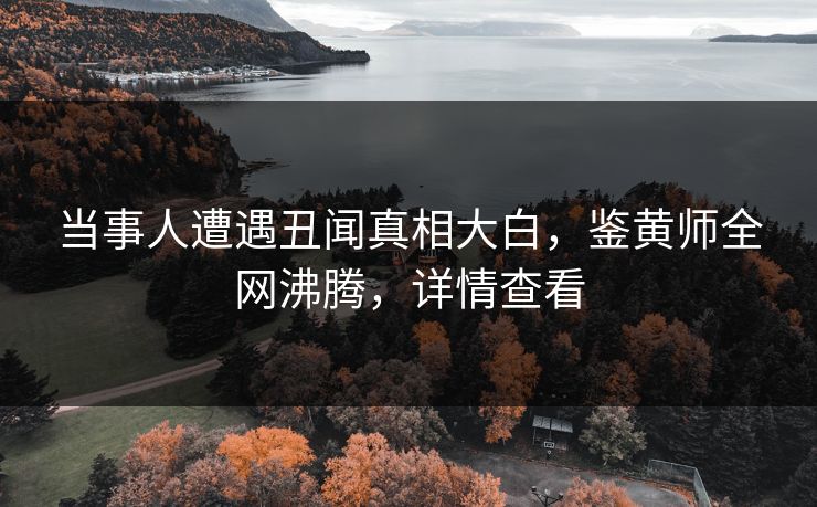 当事人遭遇丑闻真相大白，鉴黄师全网沸腾，详情查看